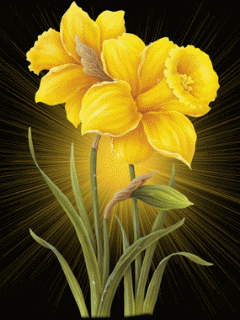 flowers 25.gif